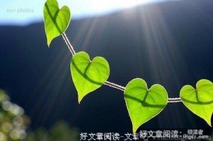 只有读懂自己,才能读懂人生