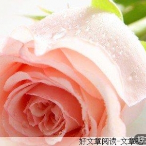 爱情之花要用心灌溉