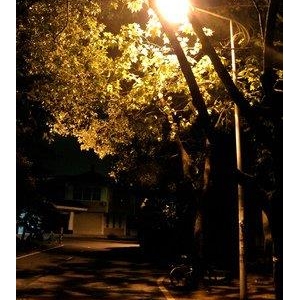 秋天的夜晚
