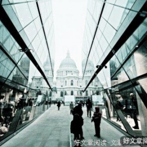 春天，我亲手种下一棵小树