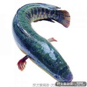我喜欢你，很久了。