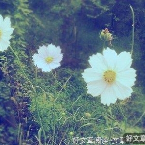 人生五个不在乎，你做到了几个？