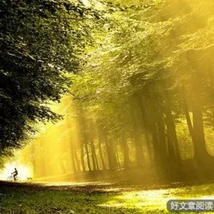 依 恋