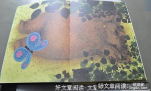 梦蝶