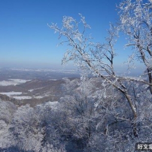 初雪。。。