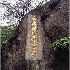 六月的蝉鸣