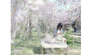 花开花落，冷暖自知