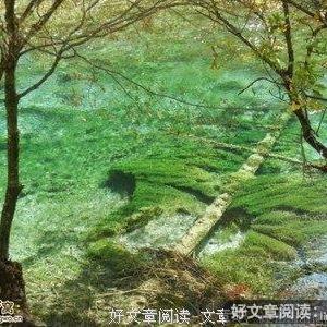 陪伴才是最华丽最浪漫的事