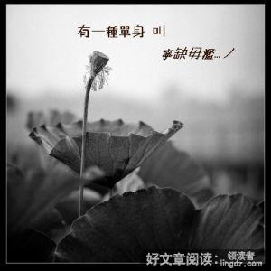 有一种单身叫宁缺毋滥