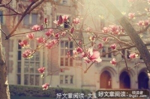 快乐，就是把幸福的沸点降低一些