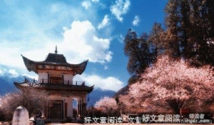 四月芳菲，为你谱写最后一琴