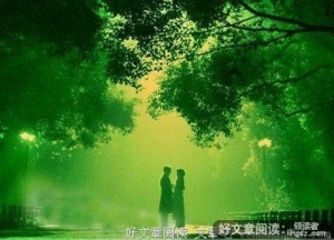 悄然无息的守候着