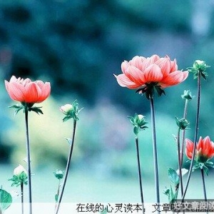 在平淡中领悟爱情