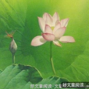 人生，你必须学会接受所有不公！