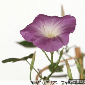 懂得感恩，学会珍惜