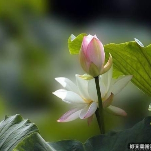 做一个简单快乐的人