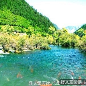 有的人一辈子都没读懂这个故事