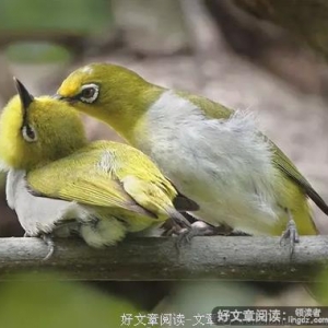 相亲 · 相伴 · 相佑