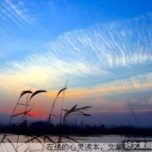 别在乎太多