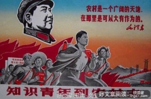 谁与懂