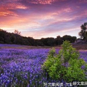 与时间拔河