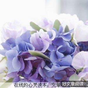 其实你不懂她的心