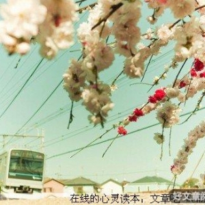 不要让烦恼，影响到今天的好心情！