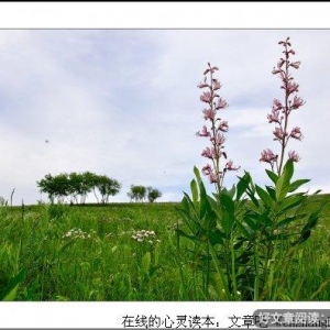 活出自己的光彩