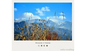 坚持是一种能力