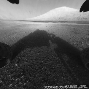 放手的爱