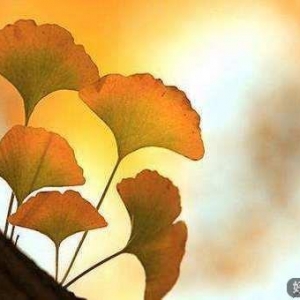 接纳平凡，会走得更加从容