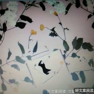 我是因为你，才爱上了这个世界