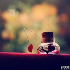 初恋是一朵叫情窦的花