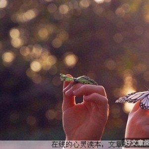 你是最美的鱼
