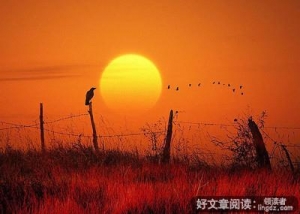 人过五十“六不想”