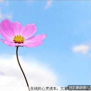 爱很短，恨很长，情路依旧
