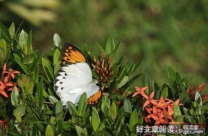 《去他*的世界 第一季》的观后感大全
