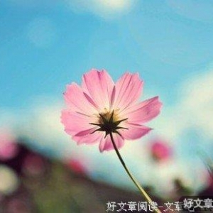 人生不是草纸