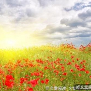 不要脸以后，我过得越来越好