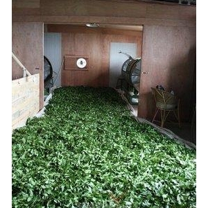 给心灵一个释放平台