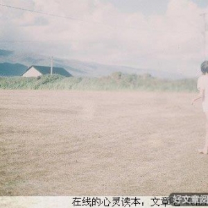 不是爱情的思念