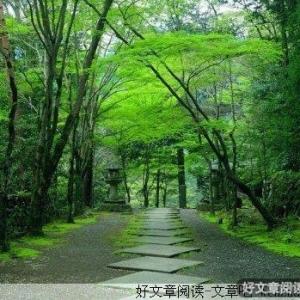 心静如水，人淡如菊