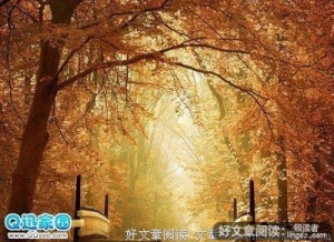 心烦时，记住这三句话，你会变很多！