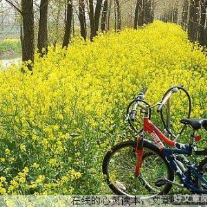 别让你的心情坏了人生