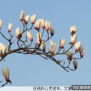 明明白白过一生