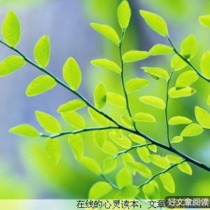 与其抱怨，不如改变