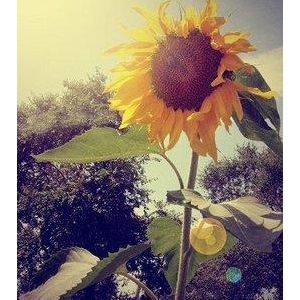 别说你单纯，现在教你认人，说的真好！