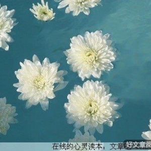 千金难换早知道