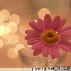 聪明和智慧的区别