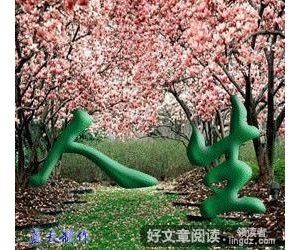 精彩人生从此开始